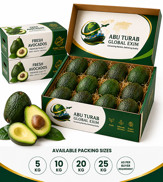 Fresh Avocado