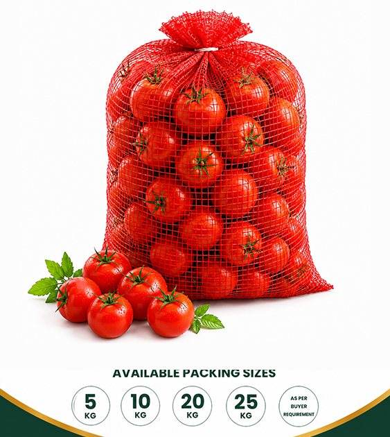 Fresh Tomato