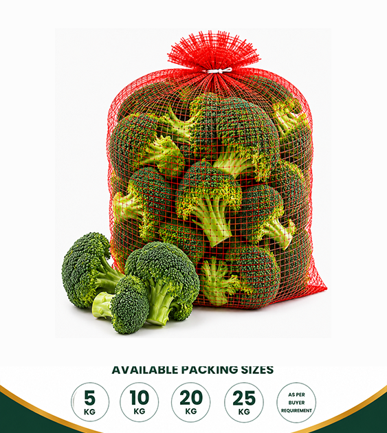 Fresh Broccoli