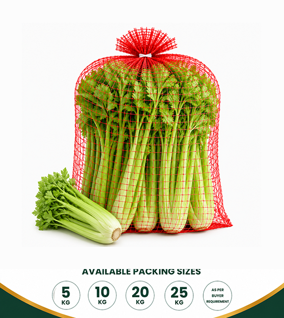 Fresh Celery