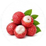 Litchi