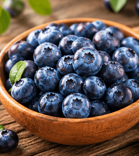Fresh Blueberry