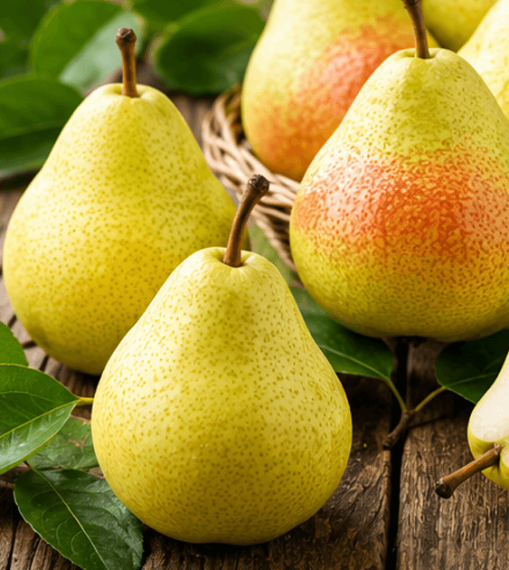 Fresh Pear