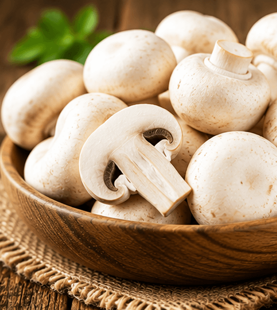 Fresh Mushroom